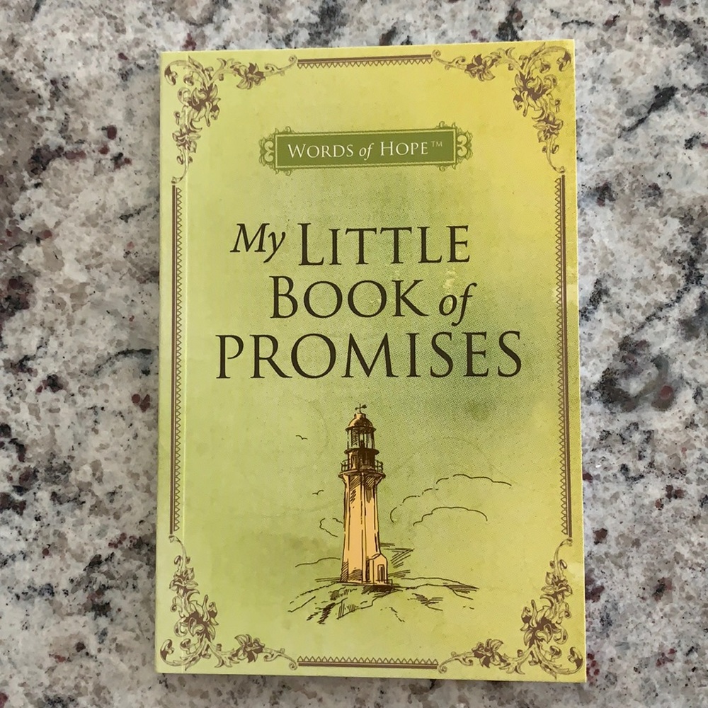 My Little Book of Promises